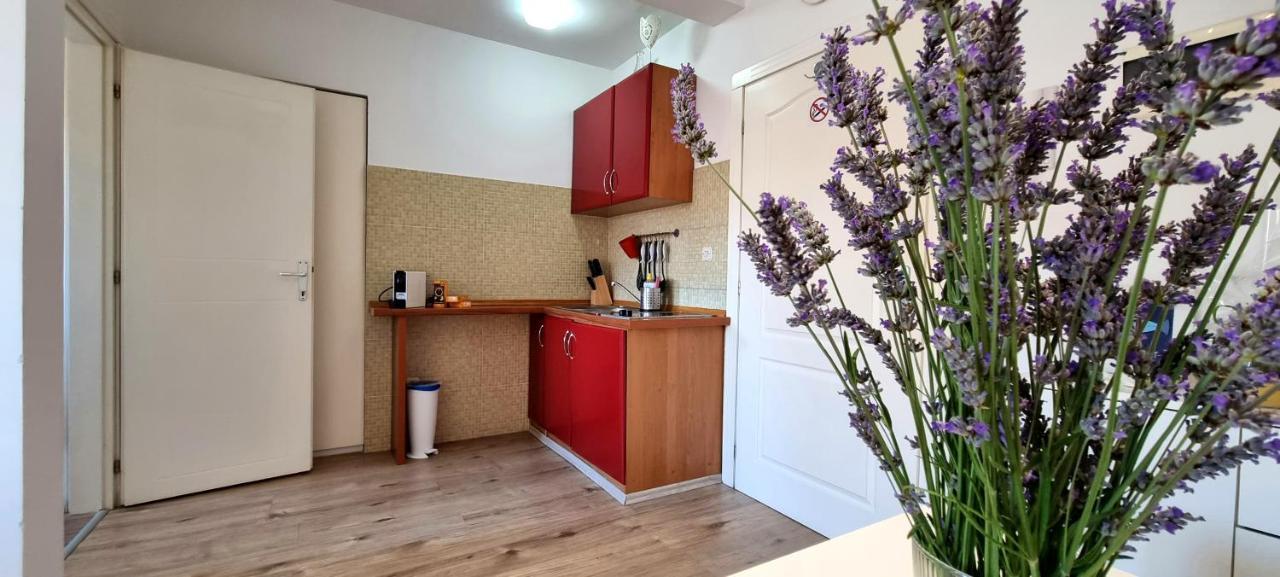 Tiny Studio Big Living Apartment