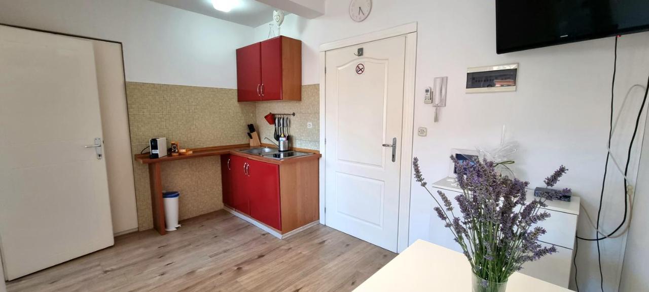 Apartament Tiny Studio Big Living