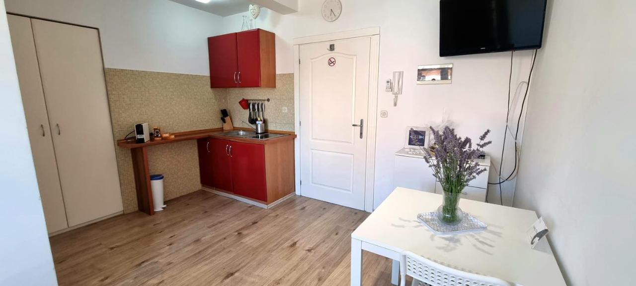Tiny Studio Big Living Apartment Rovinj